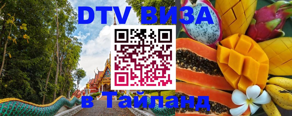 Оформление DTV визы под ключ: стоимость и тарифы, только загранпаспорт - Ча-Ам 